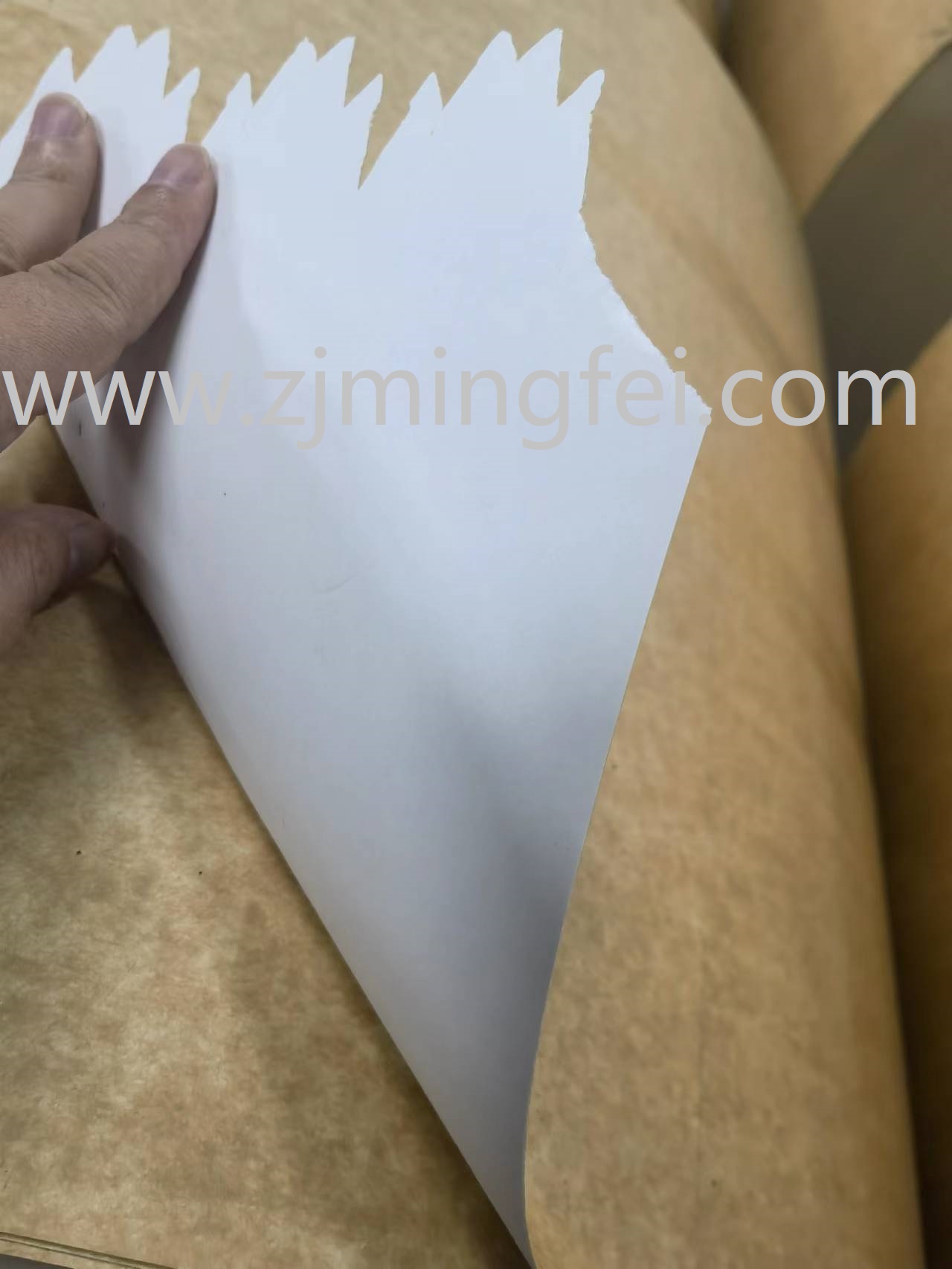 水印涂布牛卡淋膜纸2.jpg